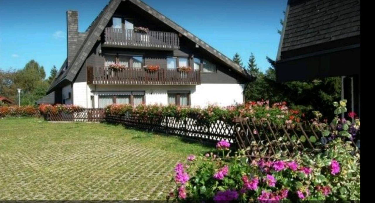 Ferienhaus-Schoenwald Im Herzen Des Schwarzwaldes 1Zimmer Wohnung Mit Terrasse App17 מראה חיצוני תמונה