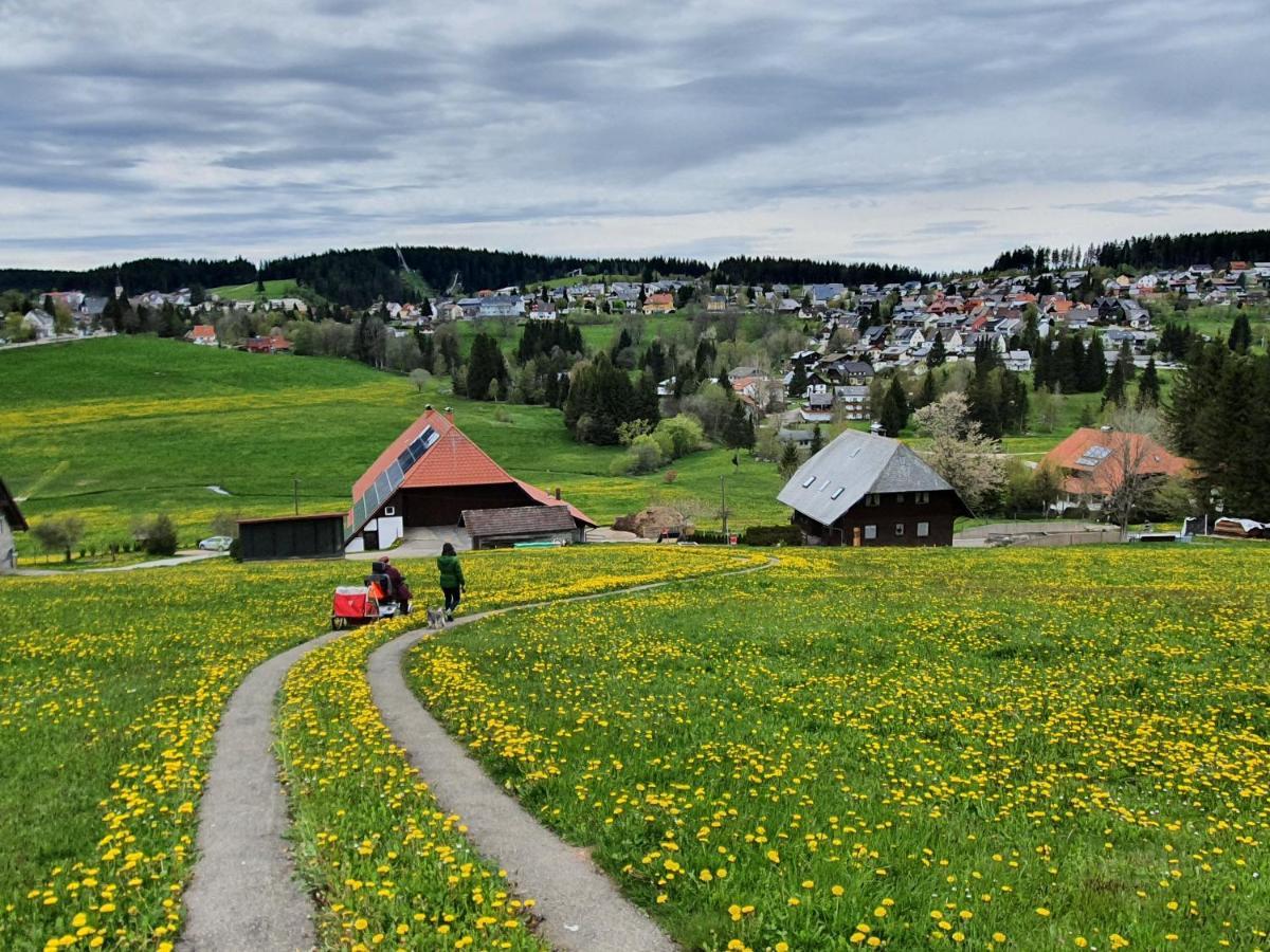 Ferienhaus-Schoenwald Im Herzen Des Schwarzwaldes 1Zimmer Wohnung Mit Terrasse App17 מראה חיצוני תמונה