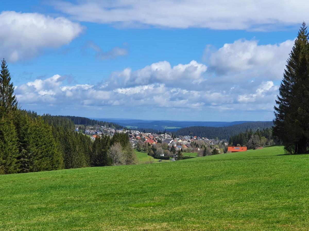 Ferienhaus-Schoenwald Im Herzen Des Schwarzwaldes 1Zimmer Wohnung Mit Terrasse App17 מראה חיצוני תמונה